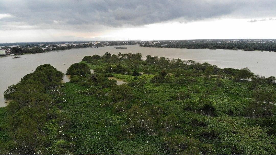 Pulau Bangau & Kelip-Kelip