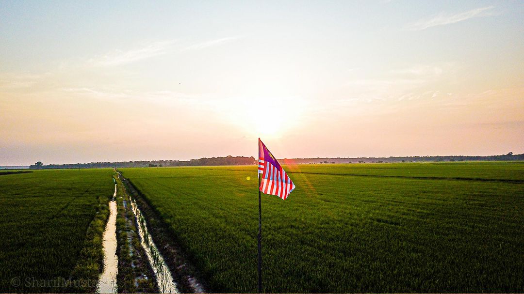 Jelapang Padi Sungai Manik